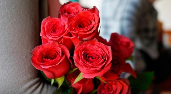 Rosas Rojas Importadas's foto | Floristería Yadislin Fleurs 🌺 |  BizneCubano