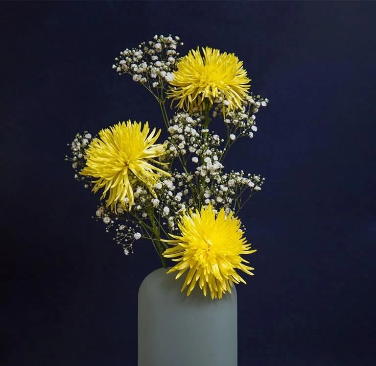 Crisantemos Importados's foto | Floristería Yadislin Fleurs 🌺 |  BizneCubano