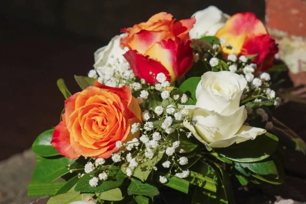 Rosas Matizadas's foto | Floristería Yadislin Fleurs 🌺 |  BizneCubano